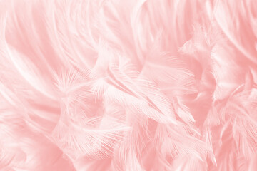 Beautiful light pink feather pattern texture background