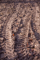 Tractor wheel track marks in the deep mud on sunny day.