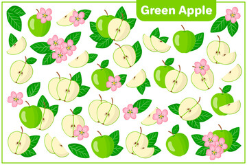 Set of vector cartoon illustrations with Green apple exotic fruits, flowers and leaves isolated on white backgroundv