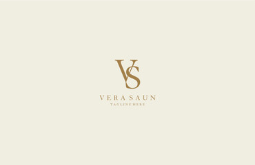 Letter VS Luxury Logo Ideal for Fashion Beauty Brand