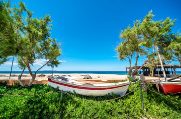 The main object is a traditional fishing boat located on the green grass, between two blooming trees (Tamarix aphylla / Almirikia), at the background there is deserted sandy beach , blue sea and sky.