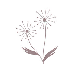 Fototapeta premium dandelion flower vector