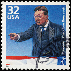President Theodore Roosevelt celebrated on american stamp - obrazy, fototapety, plakaty