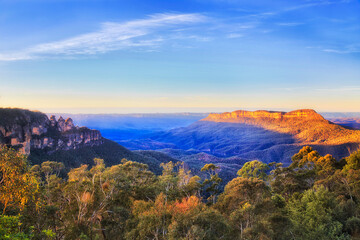 BM 3 Sis tree tops morning