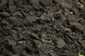 Texture of the earth. Black soil.texture of the black fertile layer of the earth close-up.