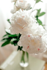 white peony bouquet close up