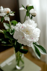 bouquet of white peonies in vase with a white curtain background