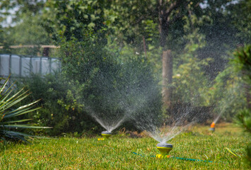 Home garden water sprayer