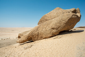 Fototapeta na wymiar huge rock in desert