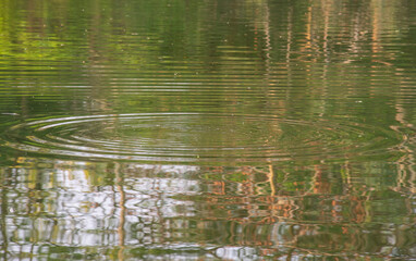 reflections in the water