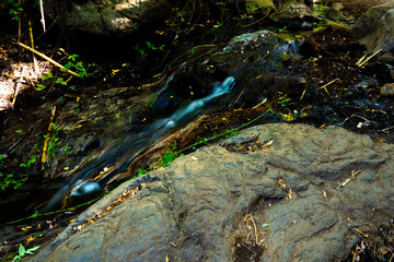 wild landscape with creek, stones and trees with beautiful colors and sunlight and shadows in the canaries.