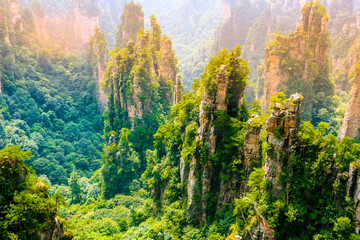 Tianzi mountain and Yunqing rock at Zhangjiajie national forest park,Wulingyuan,Hunan,China