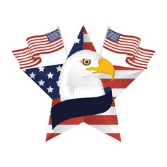 Usa eagle inside star with flags vector design