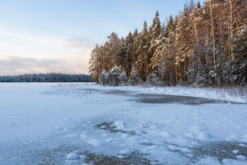 Sunny and snowy winter day in forest and marsh