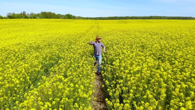 Happy Man Farmer Dancing Enjoying at Rape Blossom On Field. Fun Celebrating Funny Viral Dance Freedom. Guy Enjoying Dance. Joyful Man Farmer Dancing. Flowering Rapeseed Field Blue Sky.