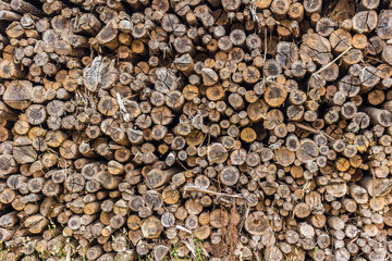 Stack of woods cut