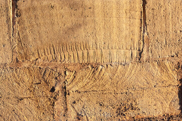 Mares stone texture with flush light at sunset