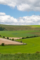 Looking out over farmland in Sussex, on an early summers day