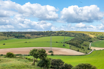 Fototapeta na wymiar Looking out over farmland in Sussex, on an early summers day
