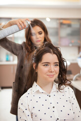 Vertical shot of a professional hairdresser using hairspray on cheerful female client