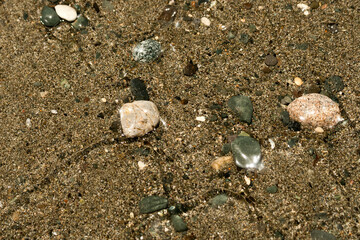 transparent sea water above beach sand and stones 