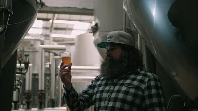 Brewer inspecting glass of beer in brewery