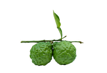 Fototapeta premium Fresh bergamot fruit with leaf isolated on white background