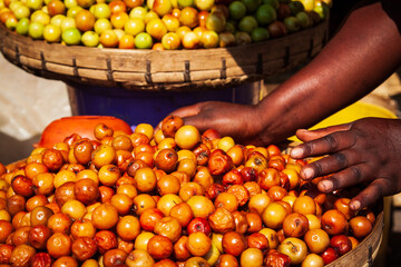woman hands holding native fruits