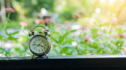 Classic alarm clock on a wooden floor with a zinnia flower background.