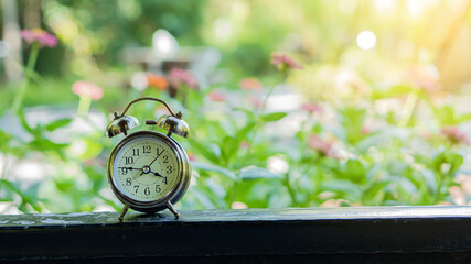 Naklejka premium Classic alarm clock on a wooden floor with a zinnia flower background.