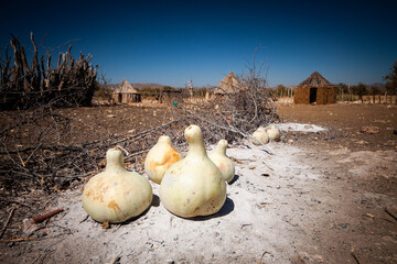 pumpkins and calabashes on the ground