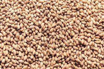 Group of fresh salted pistachios background.