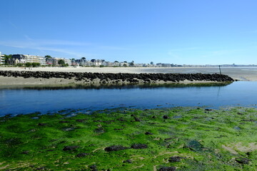 Fototapeta na wymiar Low tide at le Pouliguen bay. A place located in the west of France. may 2020