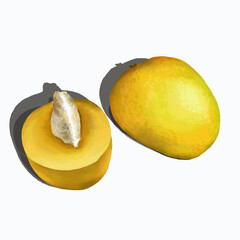 illustration drawing fruit mango yellow