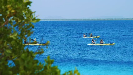 Group Of People Kayaking On The Calm Blue Ocean On A Sunny Summer day In Bonaire. - wide shot