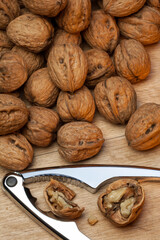 Nutcracker and Walnuts