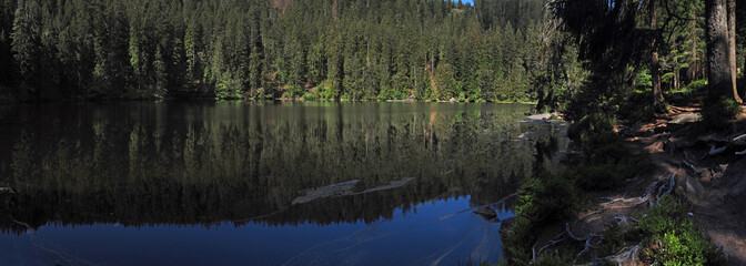 Glaswaldsee bei Bad Rippoldsau-Schapbach; Panorama