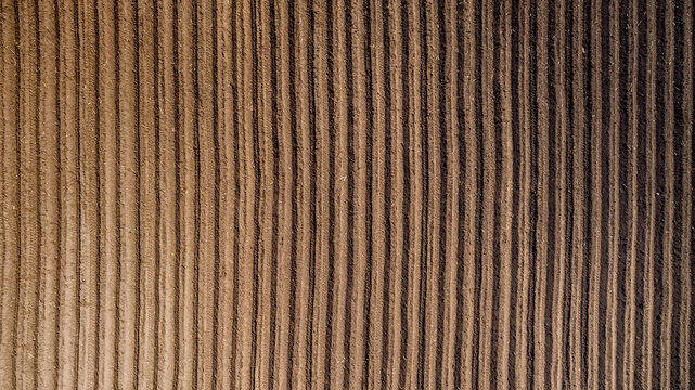 Aerial view ; Rows of soil before planting. Furrows row pattern in a plowed field prepared for planting crops in spring. Aerial view of land prepared for planting and cultivating the crop.