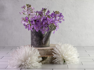 Rustic metal watering can filled with fresh purple wildflowers, dame’s rocket, sitting on top of two pieces of real wood with 2 artificial white flowers on a white subway tile counter plaster. © Christina Saymansky