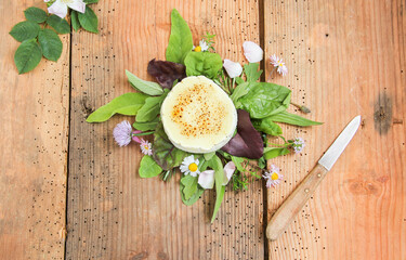 Wildkräutersalat Wildkräuter Salat gratinierter Ziegenkäse gratiniert Tisch Brett Overhead Top...