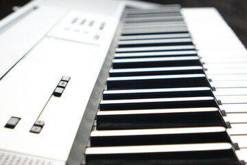 Keys and control panel of the music synthesizer.
