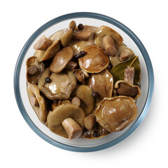 Pickled mushrooms moss flyers in a glass plate on a white background. Isolated pickled mushrooms. Top view.