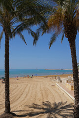 Beach at Marina di Ragusa, Sicily, Italy with palm trees casting a shadow on the sand