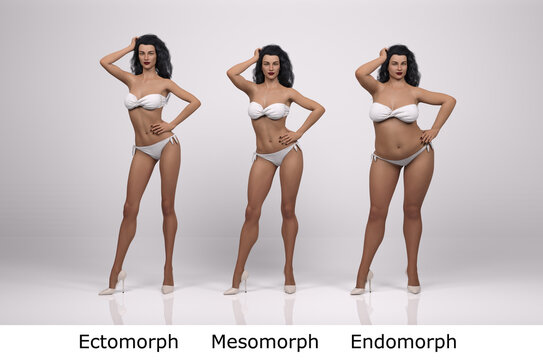 3D Render : standing female body type illustration : ectomorph (skinny type), mesomorph (muscular type), endomorph(heavy weight type), Front View