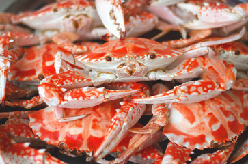a large plate of delicious cooked blue crab