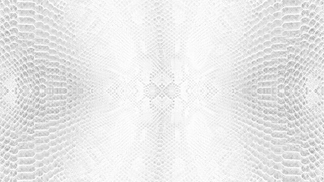 abstract parallax background texture of white snake skin python pattern stylish fashion animation