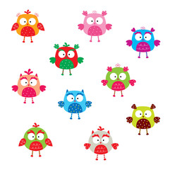 Obraz premium cute little owl bird vector collection
