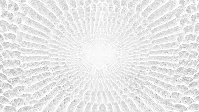 abstract parallax background texture of white snake skin python pattern stylish fashion animation