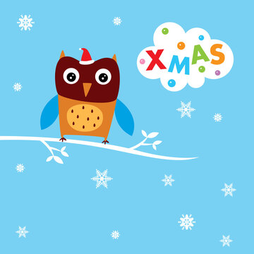 cute owl merry christmas greeting card