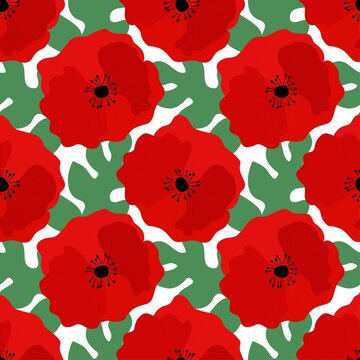 Seamless pattern with Flower red poppies Papaver rhoeas, corn rose, field poppy, red weed on a white background with leaves